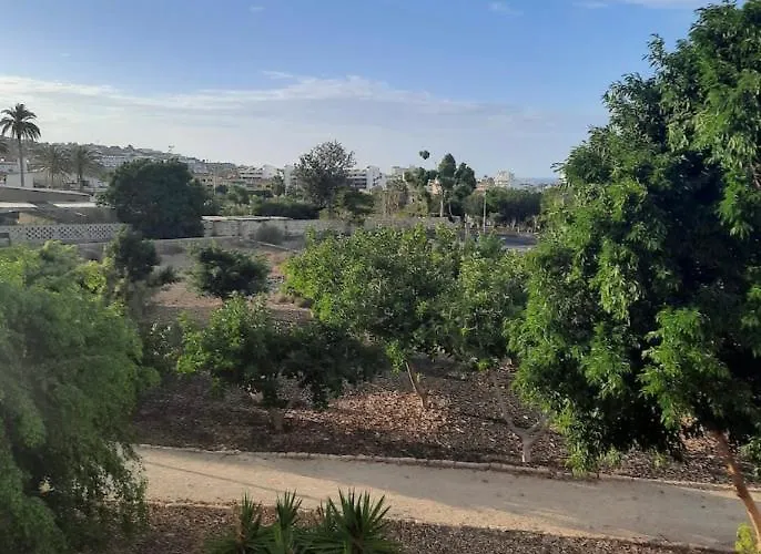 Oasis Del Duque Ferienhaus *